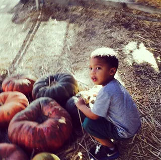 Nia Long - The actress’ son Kez sets his sights on a colorful bunch of pumpkins nearly as big as he is! &nbsp;(Photo: Nia Long via Instagram)