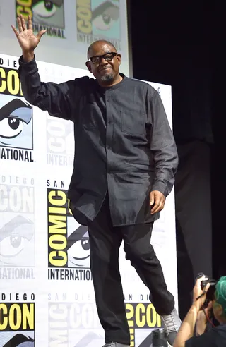 775010570MB00073_Marvel_Stu