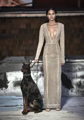 (Photo: Tracy Morris)