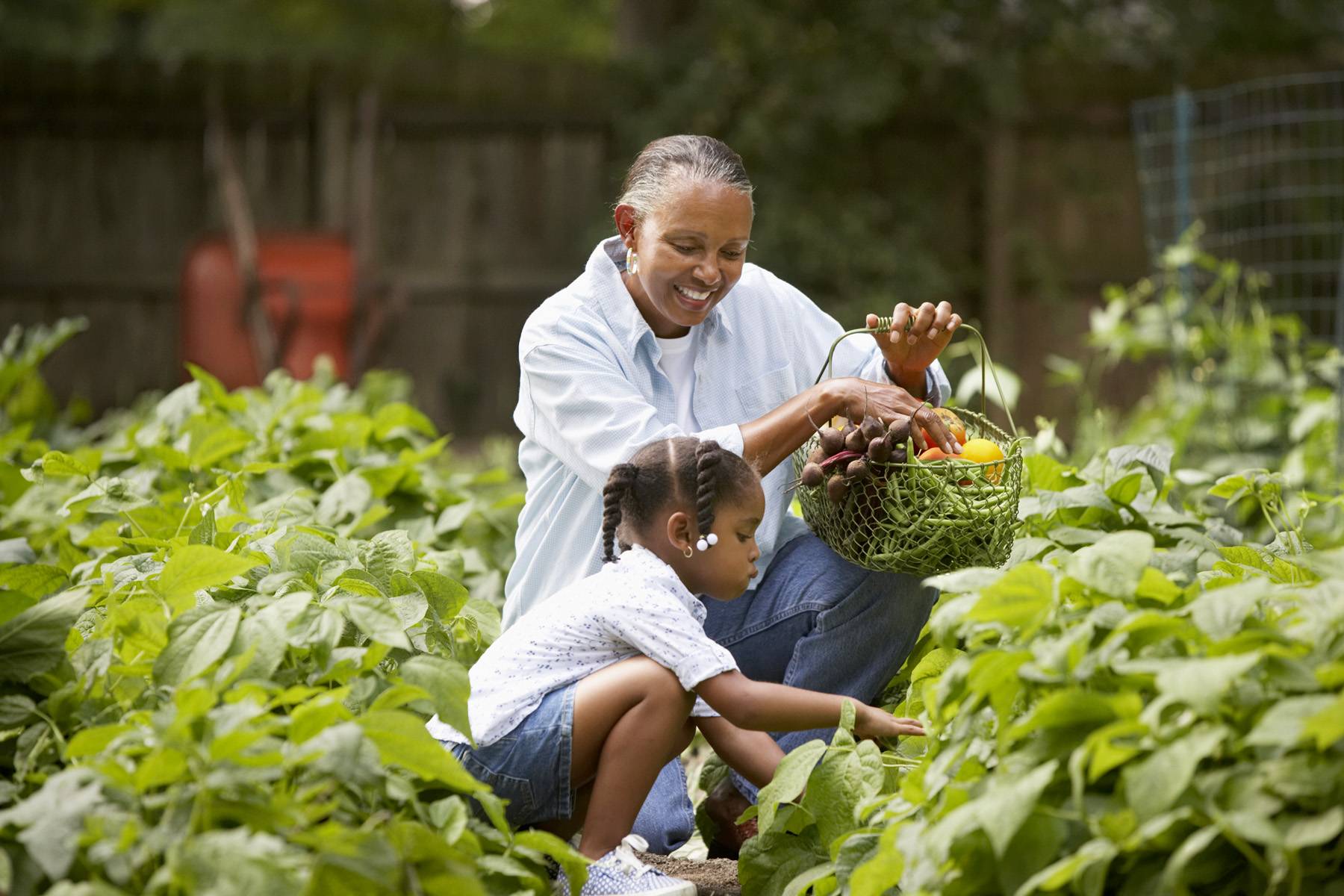 Plant a garden.