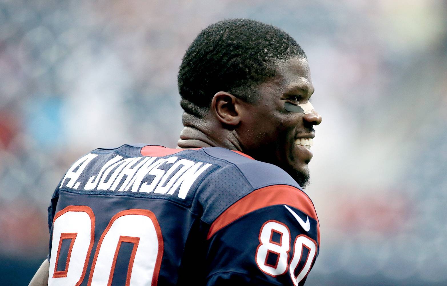 Andre Johnson, Houston Texans