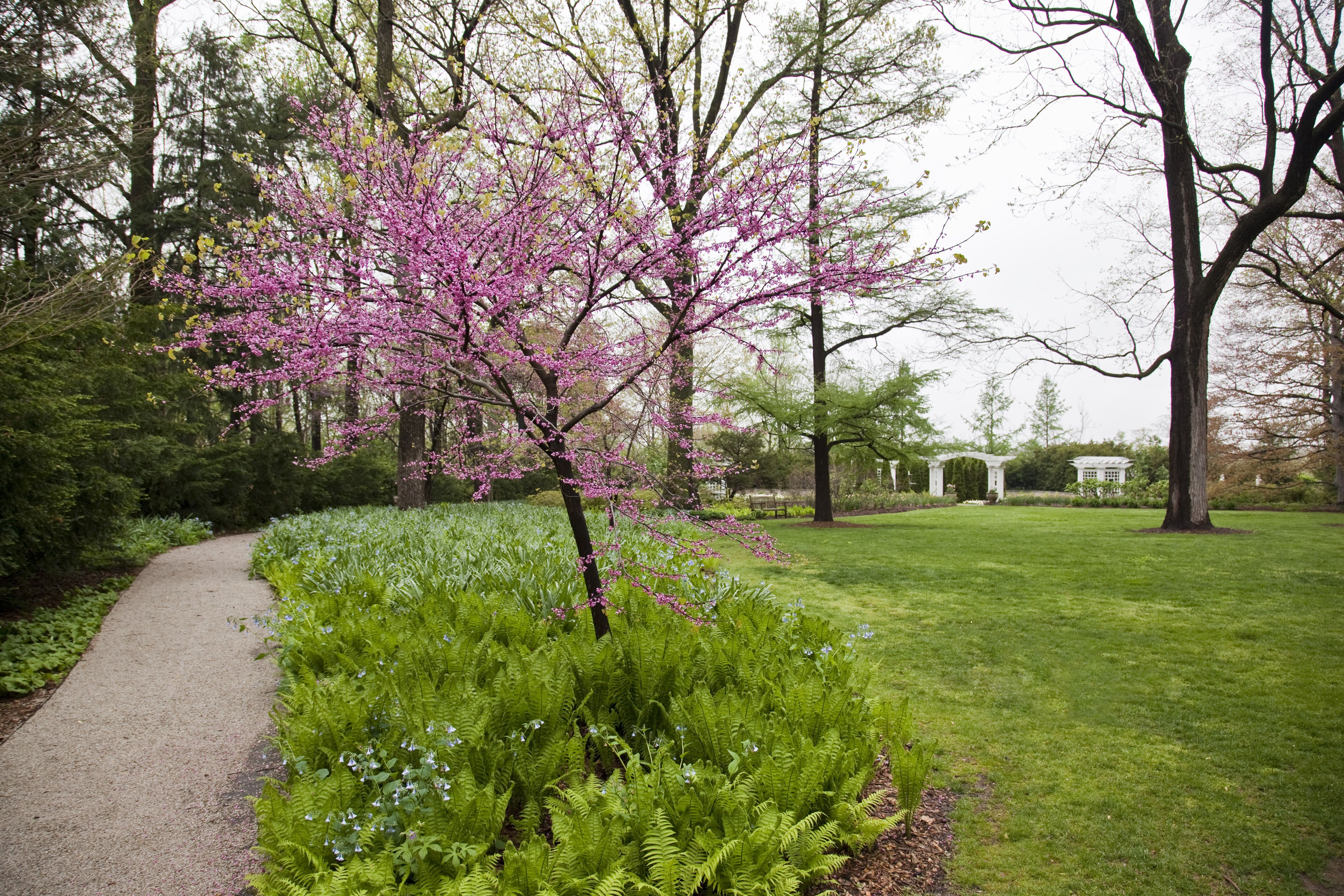 'Oldfields - Lilly House & Gardens,' 2009. Courtesy of the Indianapolis Museum of Art. (Photo by Indianapolis Museum of Art/Getty Images)