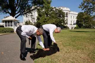 Man's Best Friend - The president and Chicago Mayor Rahm Emanuel stop to pet Sunny during a stroll along the South Grounds of the White House.  (Photo: Official White House Photo by Pete Souza)