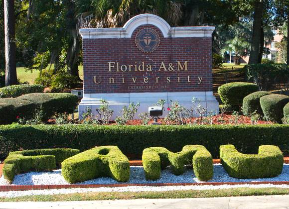 Florida A&M University, hazing, Torque Dance Team