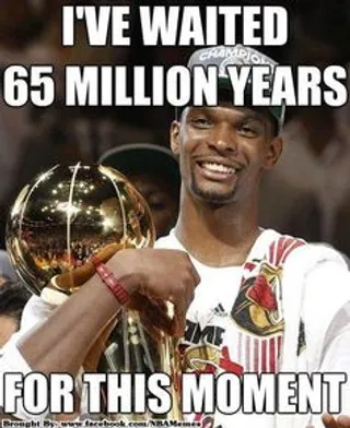 Prehistoric Times to NBA Championship - Bosh has come a long way.&nbsp;(Photo: Ronald Martinez/Getty Images)&nbsp;