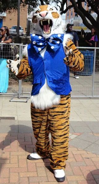 Jackson State University&nbsp; - Jackson State Tiger.(Photo: BET)