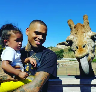 Day at the Zoo - Breezy is having a blast visiting with the giraffes while hanging at the zoo with Royalty.(Photo: Chris Brown via Instagram)