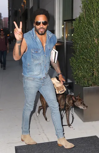 King of Rock - Leave it to Lenny Kravitz to make dogwalking look sexy. The rock and roll god takes his pup for a stroll in New York City. &nbsp;(Photo: Blayze / Splash News)