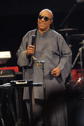 It's a Wonderful Life - Stevie Wonder announces his Songs in the Key of Life&nbsp;tour during his live performance at Central Park SummerStage in New York City.  (Photo: Brad Barket/Getty Images)