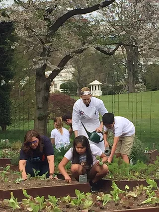 All Hands on Deck -  This White House chef will one day cook the rewards of the children's labor.(Photo: Joyce Jones/BET)