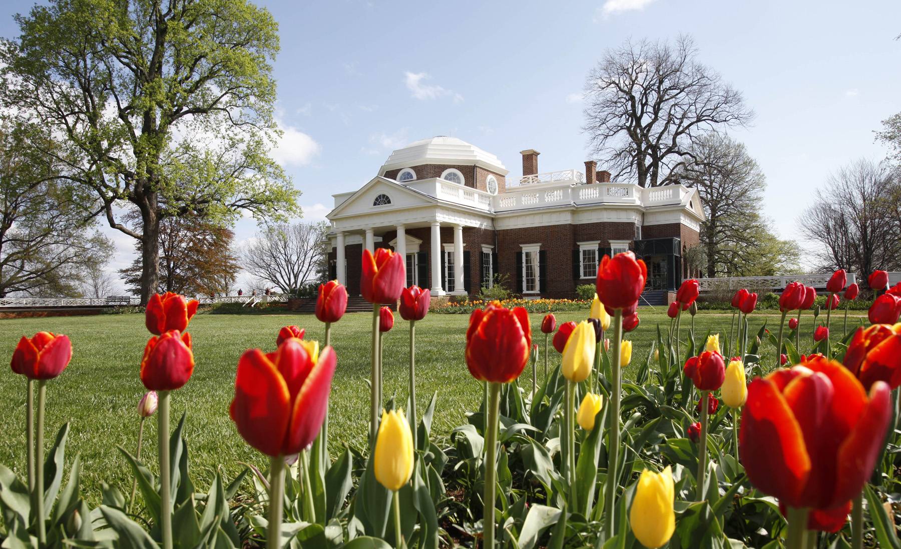 Thomas Jefferson's Virginia Plantation to Be Restored