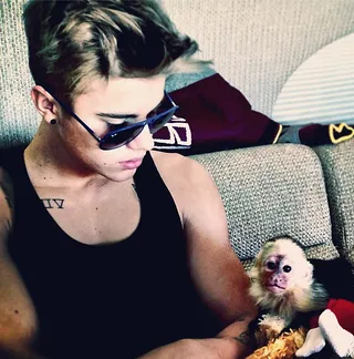 Justin Bieber - Strange celebrity behavior isn't just limited to fashion choices, Twitter rants and questionable relationships. Sometimes, stars adopt crazy critters in the name of companionship.Our list of strange celebrity pets kicks off with Justin Bieber and his pet capuchin monkey, Mally. Biebs and the tiny mammal, given to him by a record producer, were inseparable until Mally was confiscated by customs authorities in Munich, Germany, last month. Guess the superstar didn't know even monkeys need passports.  (Photo: Justin Bieber via Instagram)