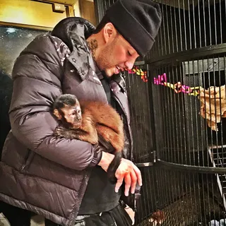 Julius Caesar Montana - Everyone knows about Julius Caesar and enjoys his presence on the 'Gram.&nbsp;(Photo: French Montana via Instagram)