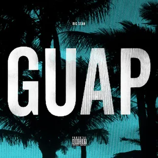 Big Sean&nbsp;–&nbsp;'Guap' - DONDA captured the island essence of Big Sean's "Guap" and put its easygoing feel into art with&nbsp;pixelated palm trees.&nbsp;(Photo: GOOD Music/Def Jam Recordings)