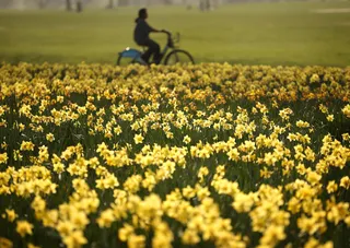 Flowers - Allergies be damned — there is something about the sight of tulips and daffodils that just make you happy. (Photo: Peter Macdiarmid/Getty Images)