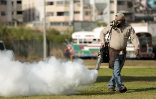 Treatment - The virus is usually treated as you may treat the common cold. The CDC suggests resting and drinking fluids and taking Tylenol to relieve fever and pain. There is currently no vaccine to treat it.(Photo:&nbsp;AP Photo/Arnulfo Franco)