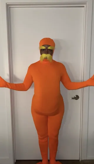 Courtney Taylor as The Lorax