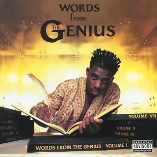 22. Genius (GZA) – Words from the Genius (1991) - Before he was known as the GZA and helped establish the Clan, the Genius was a fresh faced newcomer signed to Cold Chillin — the same label he would so famously diss just two years later (&quot;The Wu is too slamming for these Cold Killing labels...&quot;) on the Clan’s future debut single &quot;Protect Ya Neck.&quot; A sneaky good introduction to the hip hop nation, Words from the Genius — largely produced by Tupac and Notorious B.I.G. beat-man Easy Mo Bee — hints at his future brilliance.&nbsp;