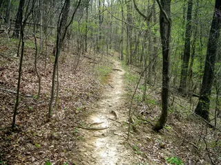 Sightseeing - Jump in the car and go for a drive. Visit the areas that you always wanted to visit and check out some new places.(Photo: Akron Beacon Journal/MCT/Landov)