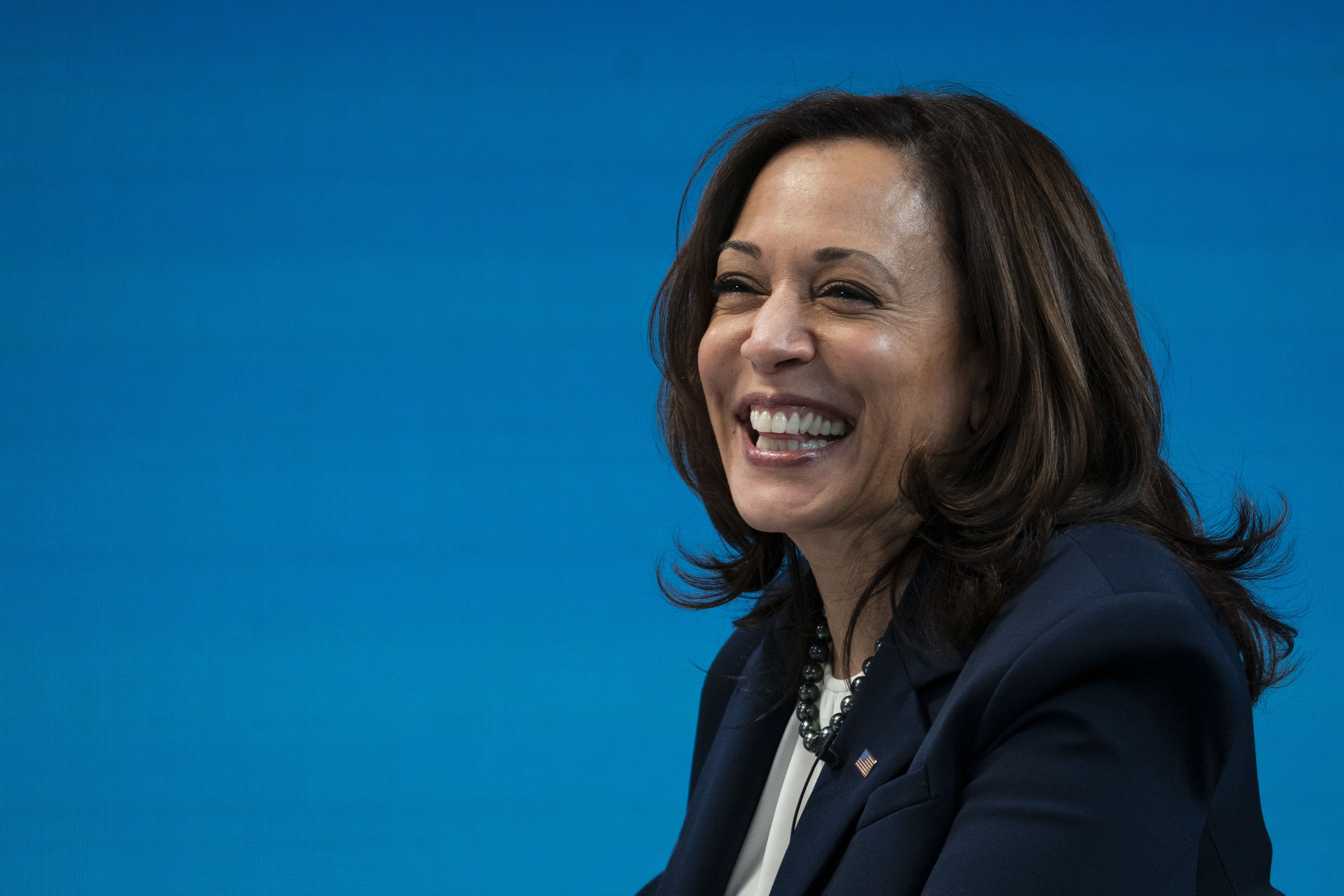WASHINGTON, DC - FEBRUARY 5: U.S. Vice President Kamala Harris attends a virtual roundtable event with participants from local Black Chambers of Commerce on February 5, 2021 in Washington, DC. Topics discussed included the Biden administration's $1.9 trillion Covid-19 relief package and how the pandemic has affected local businesses. (Photo by Drew Angerer/Getty Images)