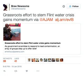 @BreeNewsome - (Photo: Bree Newsome via Twitter)