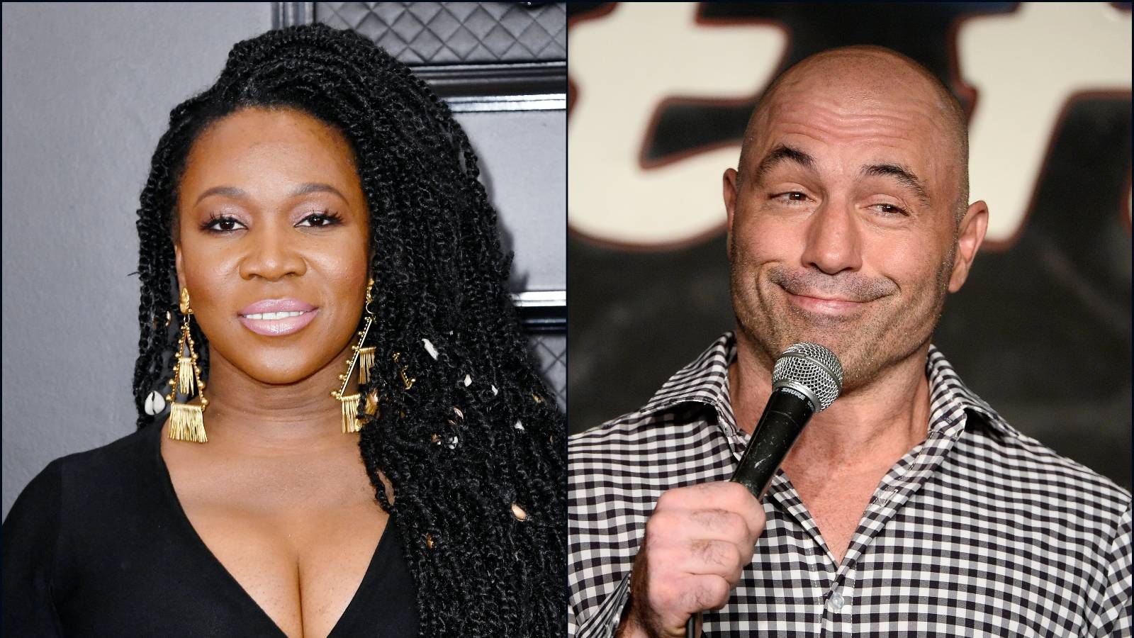 India.Arie, Joe Rogan  