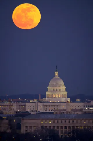 /content/dam/betcom/images/2012/02/Politics-02-01-02-15/020812-politics-week-in-polls-capitol-hill.jpg