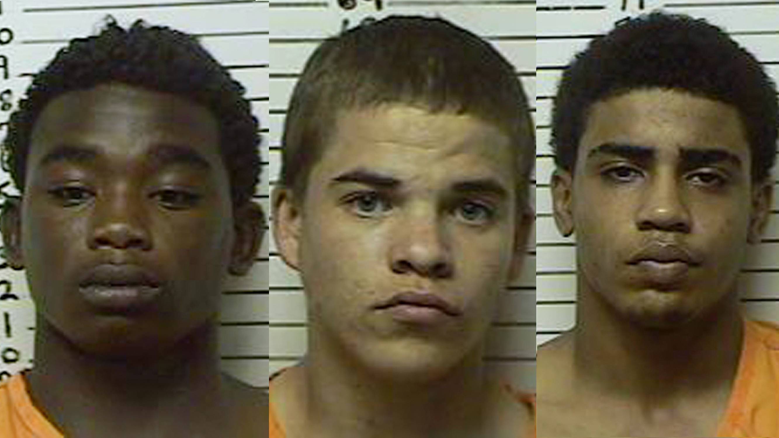  Michael Jones, Chancey Allen Luna and James Francis Edwards Jr.