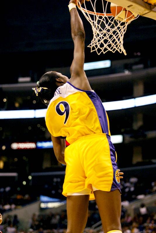 Lisa leslie dunk online