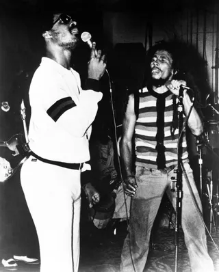 Bob Marley And Stevie Wonder.jpg