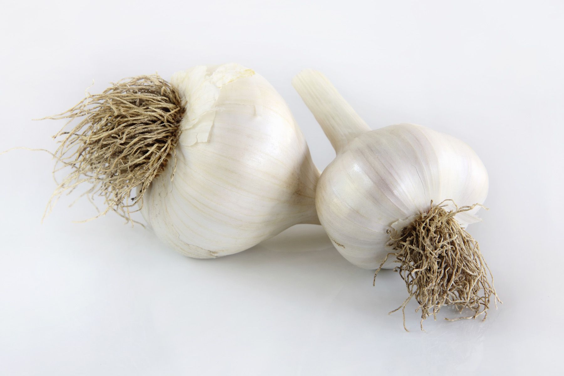 Garlic - Known for - Image 2 from 9 Healthy Foods That Are Good for ...
