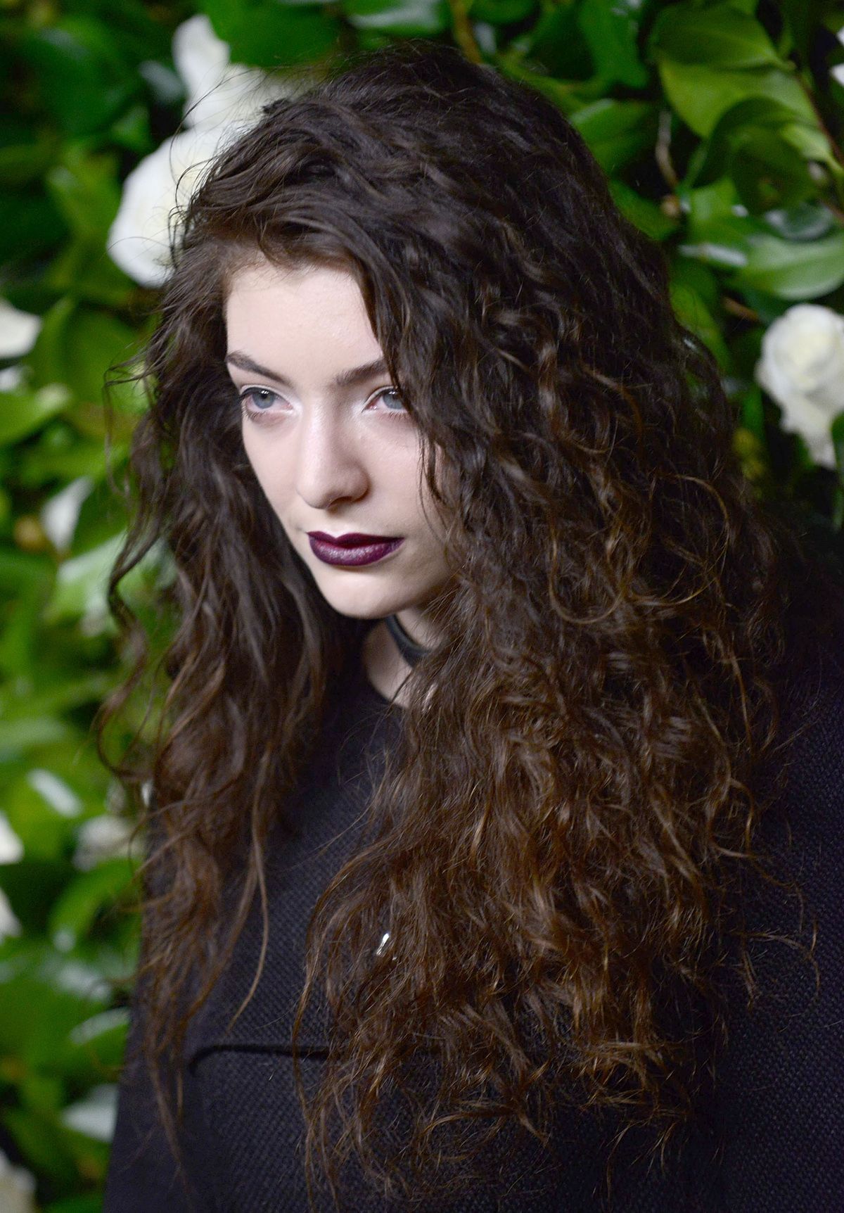 The Fame Monster - - Image 6 from Introducing Lorde | BET