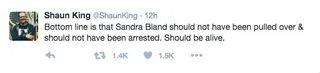 Shaun King (@ShaunKing) - (Photo: Shaun King via Twitter)