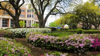 2013 HBCU Awards Coming in June - Jackson State University in Mississippi will host the third annual HBCU Awards June 27-29. The awards rank schools in categories ranging from best marching band to all-around best HBCU of the year. (Photo: JSUMS.edu)