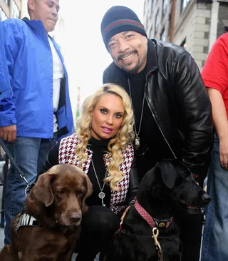 Must Love Dogs - Ice-T and wife Coco Austin attend America Salutes Four-Legged Military Heroes during the 2014 Veterans Day Parade in New York City.(Photo: Robin Marchant/Getty Images for American Humane Association)