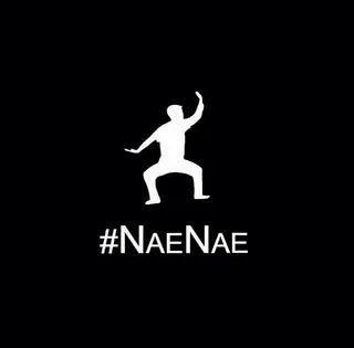 Drop That #NaeNae - The whole nation went crazy for We Are Toonz as soon as their infamous NaeNae dance went viral. (Photo: We Are Toonz via Instagram)