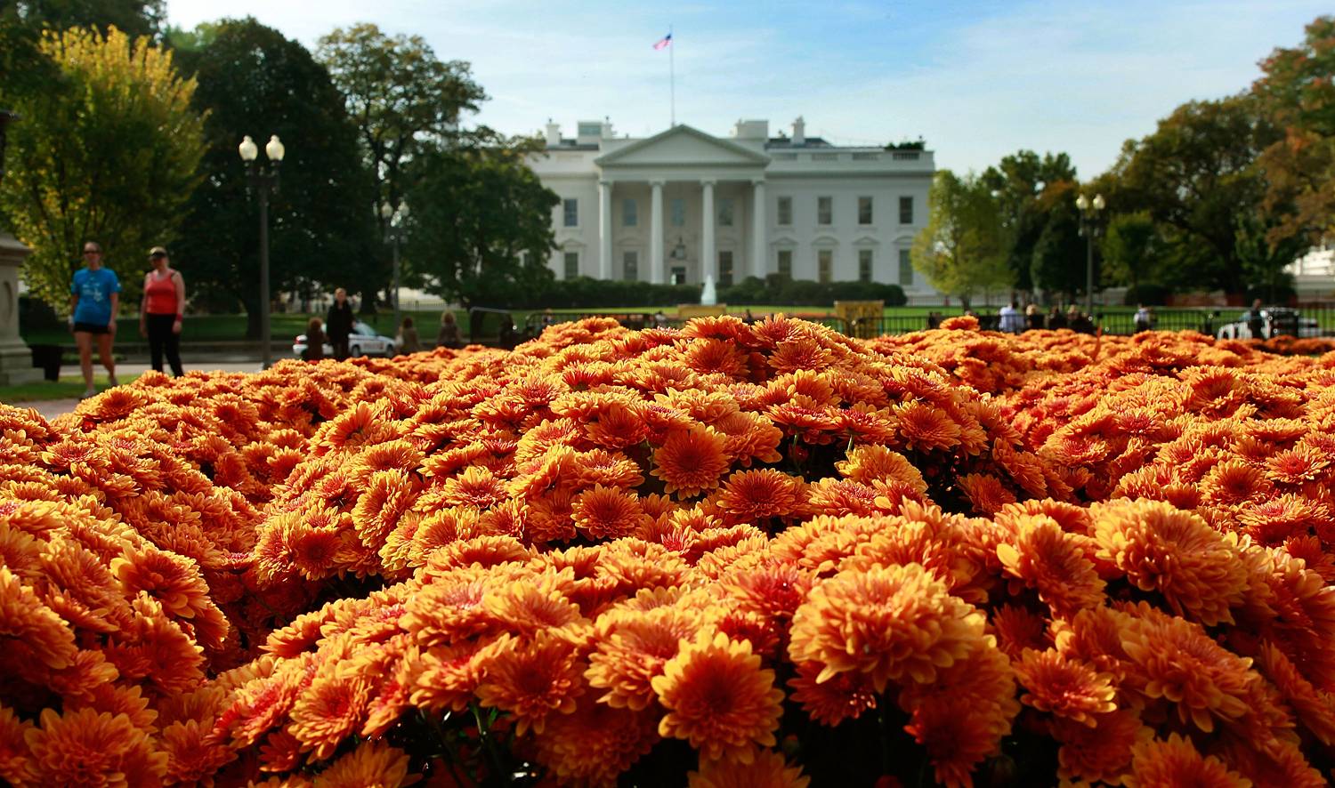 Lafayette Park - Follow it up with a trip to Lafayette Park, also known as “Tragedy Square.” With Halloween on the way, it’s the perfect place to take a ghost tour and hear tales about the area’s former inhabitants that loved the city so much, not even death could keep them away.(Photo: Mark Wilson/Getty Images)