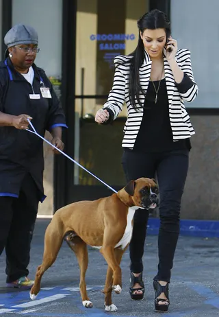 Kim Kardashian - Kim K. has a Boxer fittingly named Rocky.  (Photo: WENN.com)