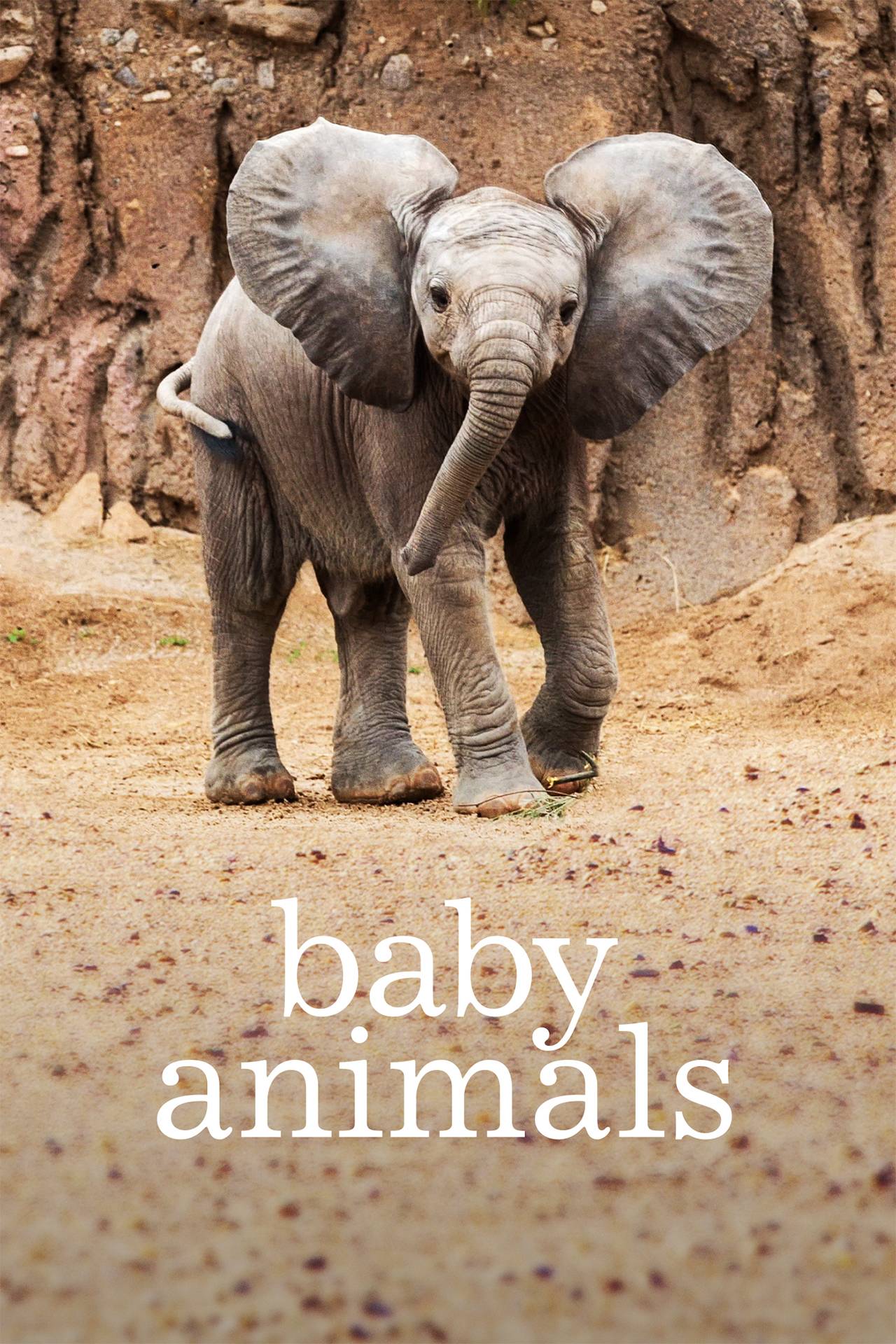Baby Animals - TV Series | Smithsonian Channel