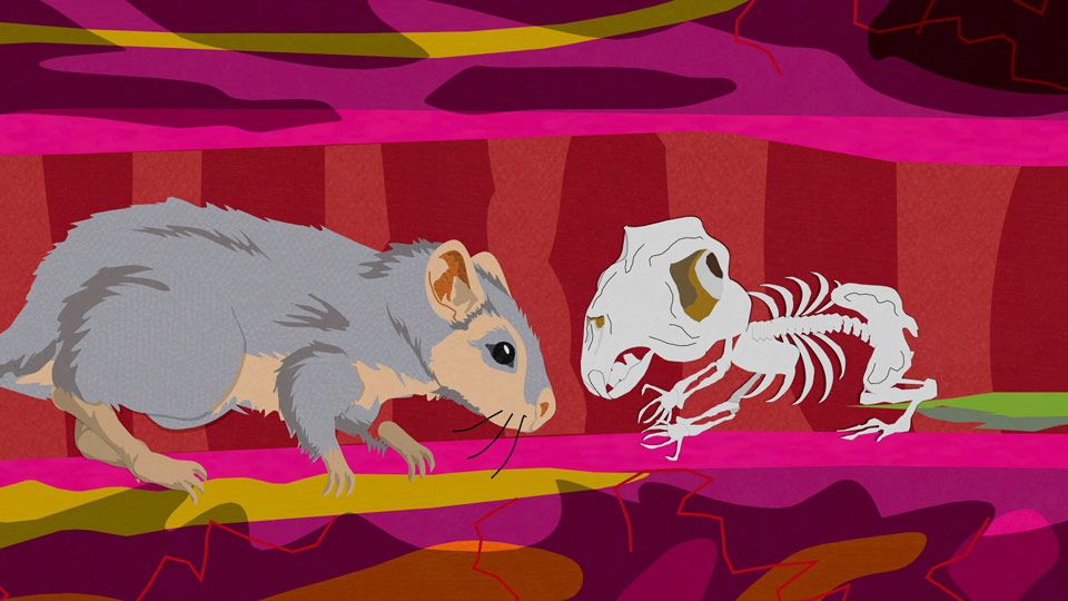 Gerbil Science - South Park (Video Clip) | South Park Studios Global