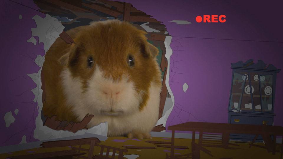 I Don't See Why You Have To Yell South Park (Video Clip) South Park Studios  US | Randy The Guinea Pig | giganet.sampa.br