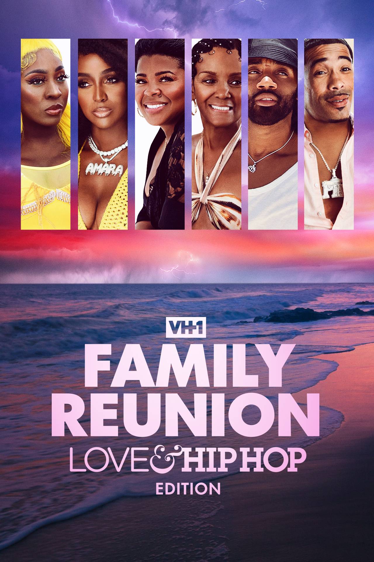 VH1 Celebrity Reality Television Series