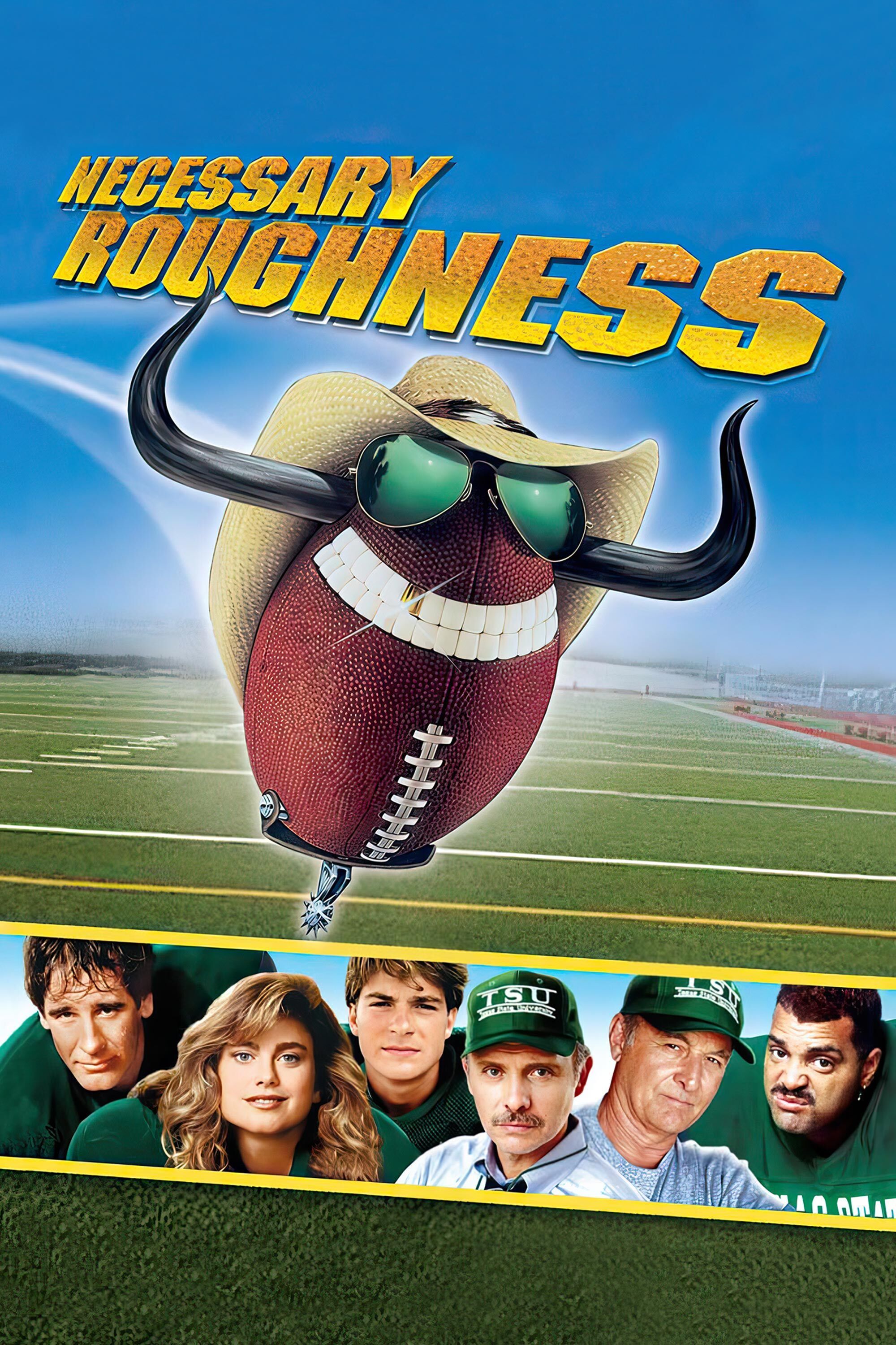 Necessary Roughness