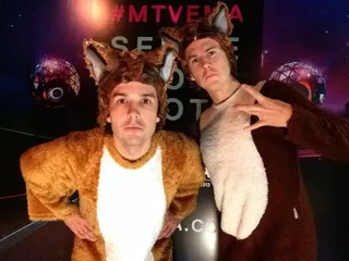 Ylvis