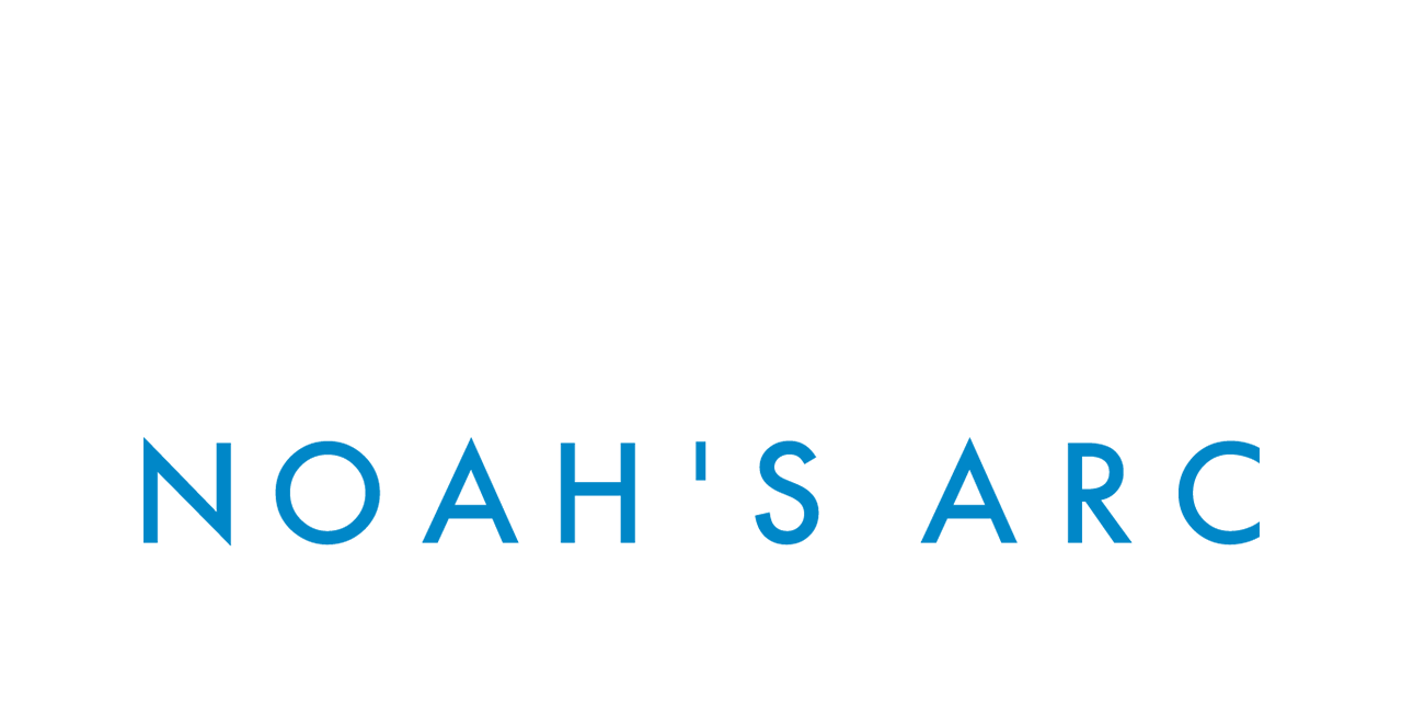 Noah's Arc: Jumping the Broom