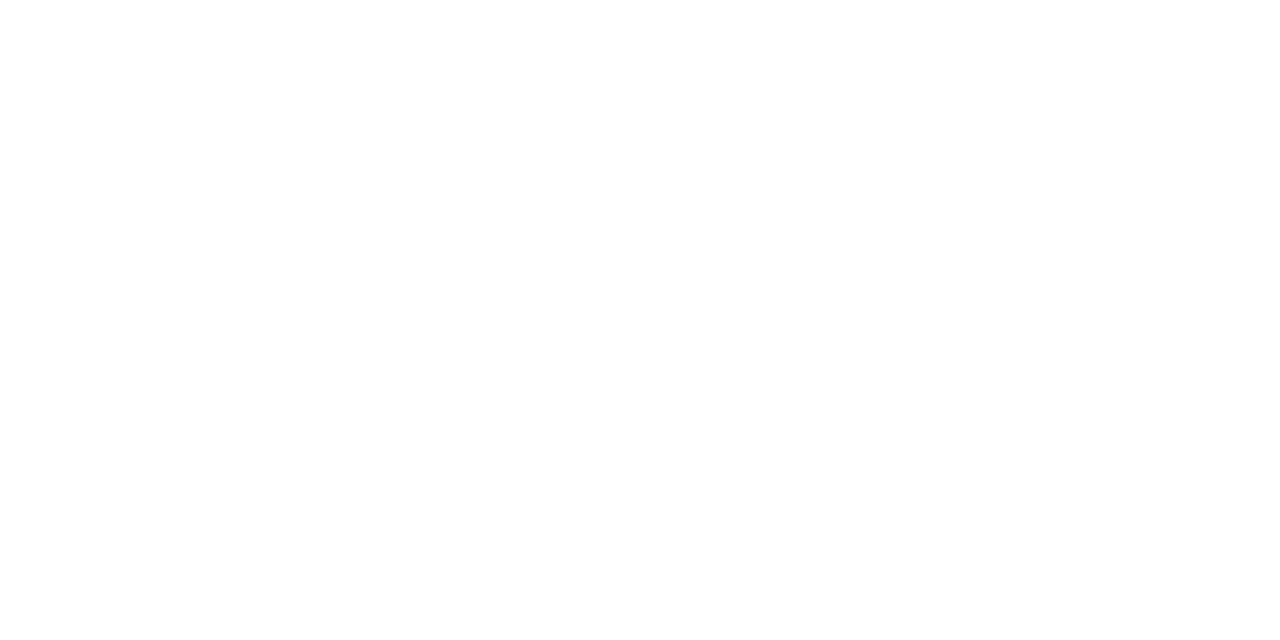 Survivor