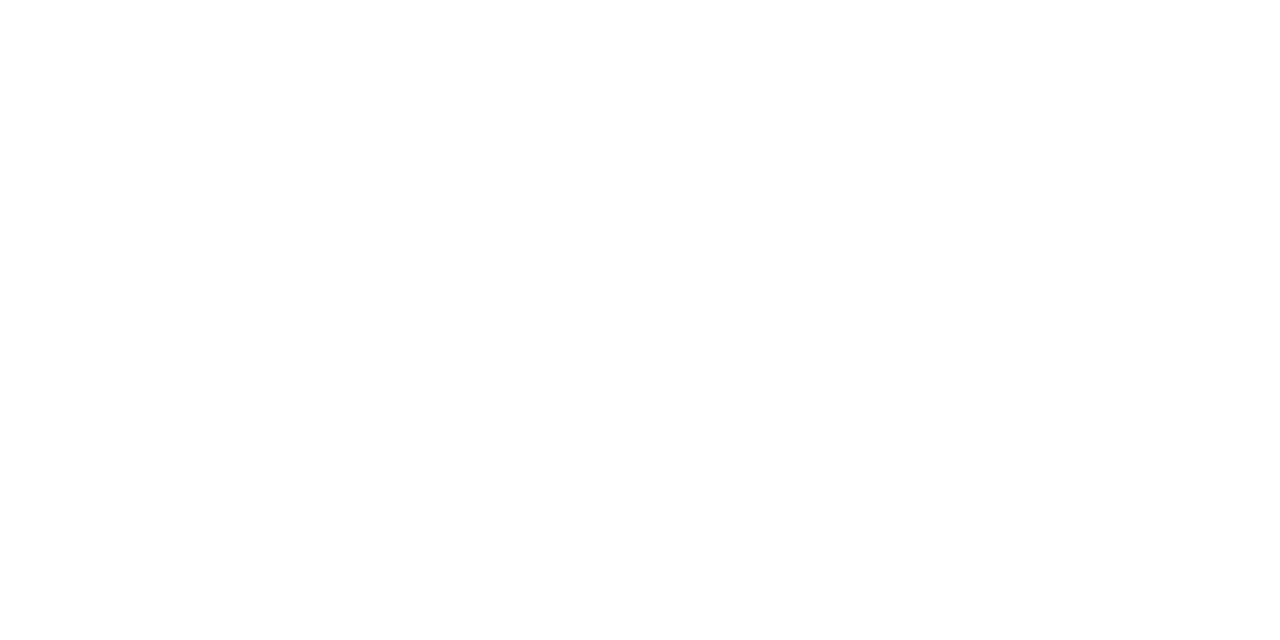 Teen Mom: The Next Chapter