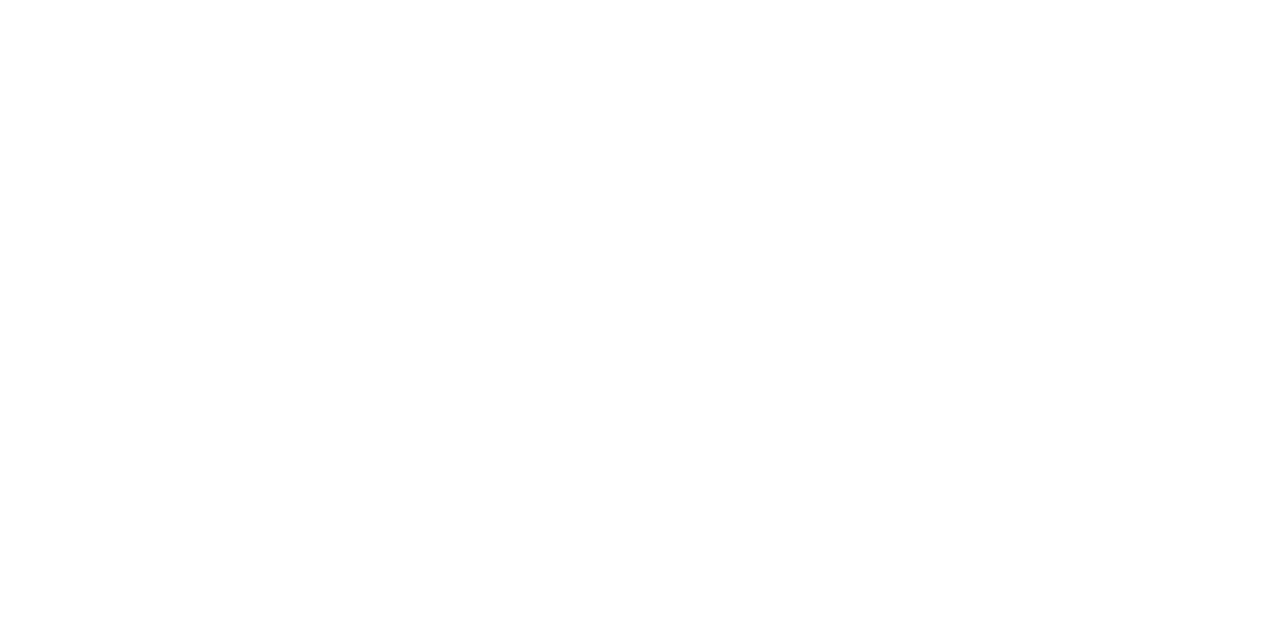 Bar Rescue