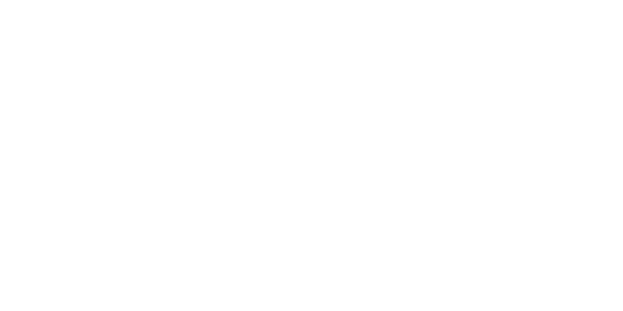 Bar Rescue