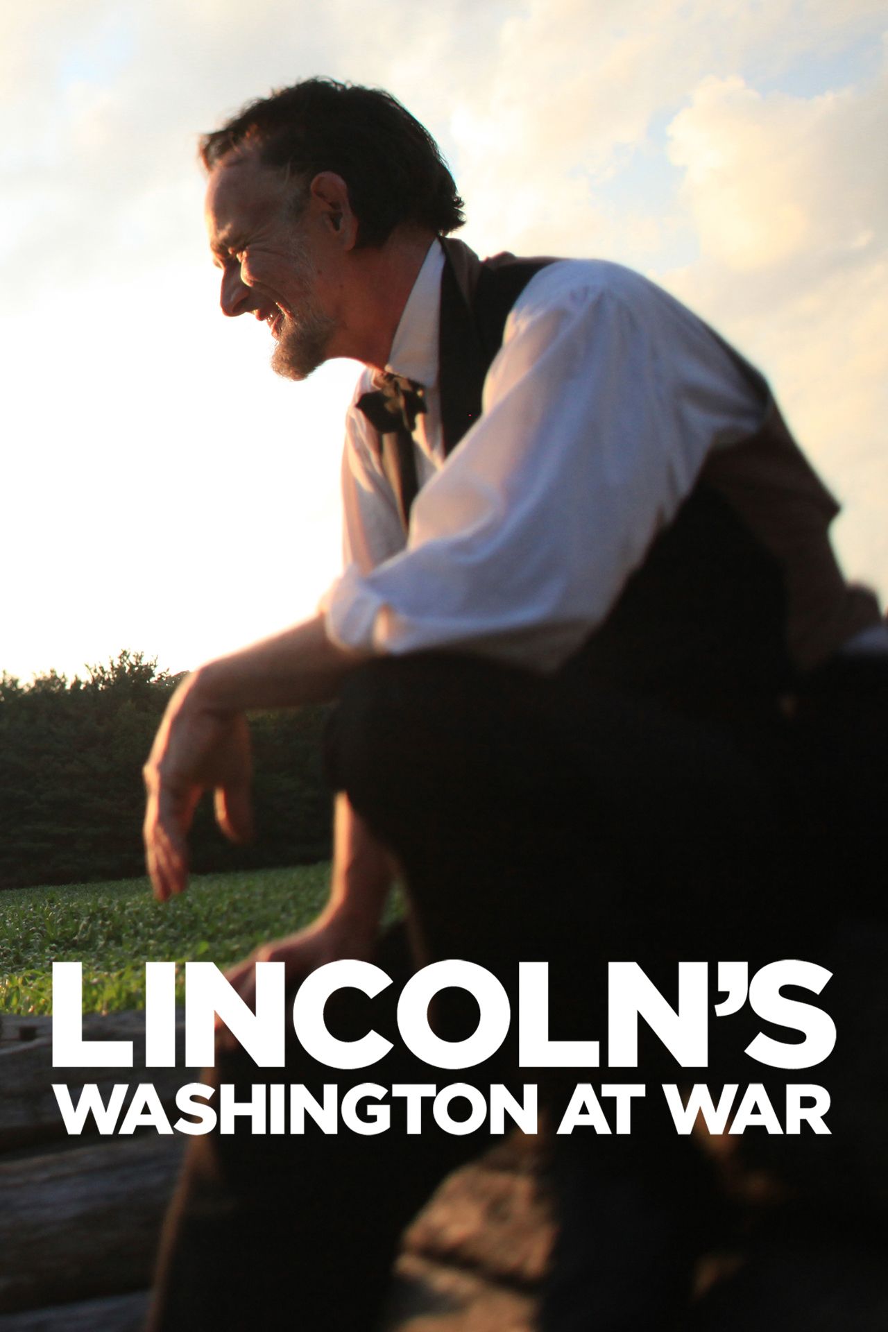 Lincoln's Washington at War